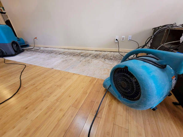 Professional Flood Damage Cleanup technician working in Silverlake, WA